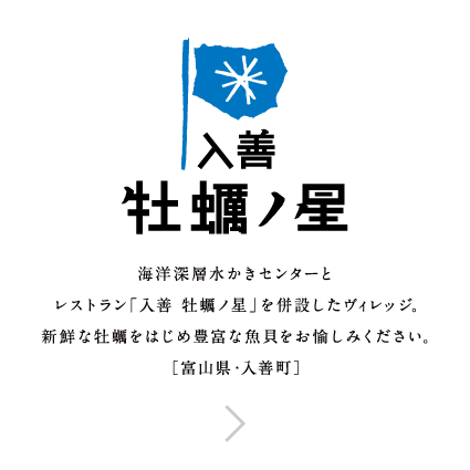 入善 牡蠣ノ星